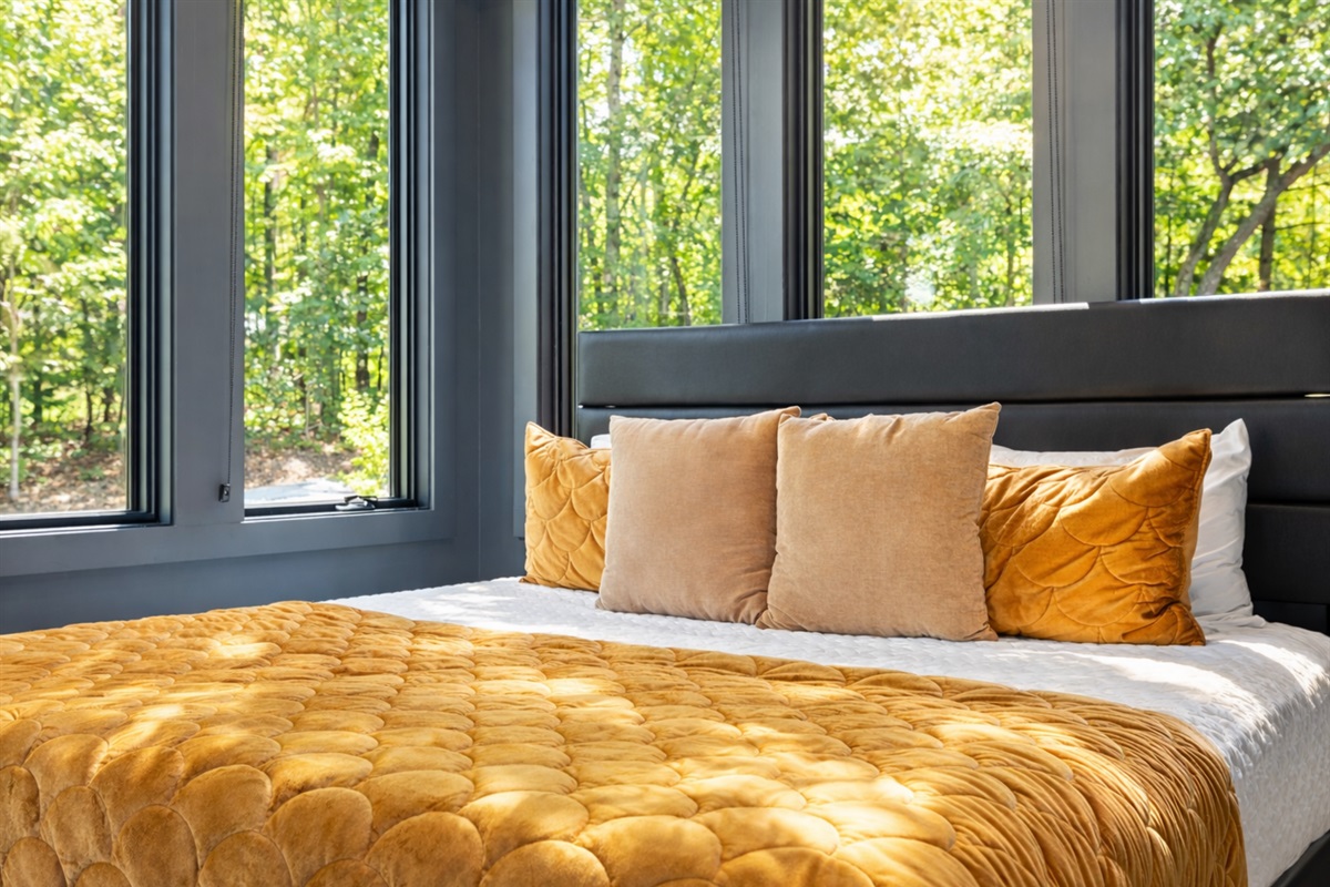 Bold and cozy, bright bedding and large windows that bring the outdoors in.