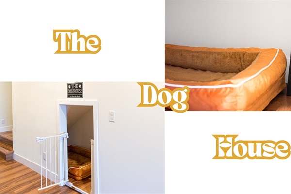 1 XL dog bed with dog bowls