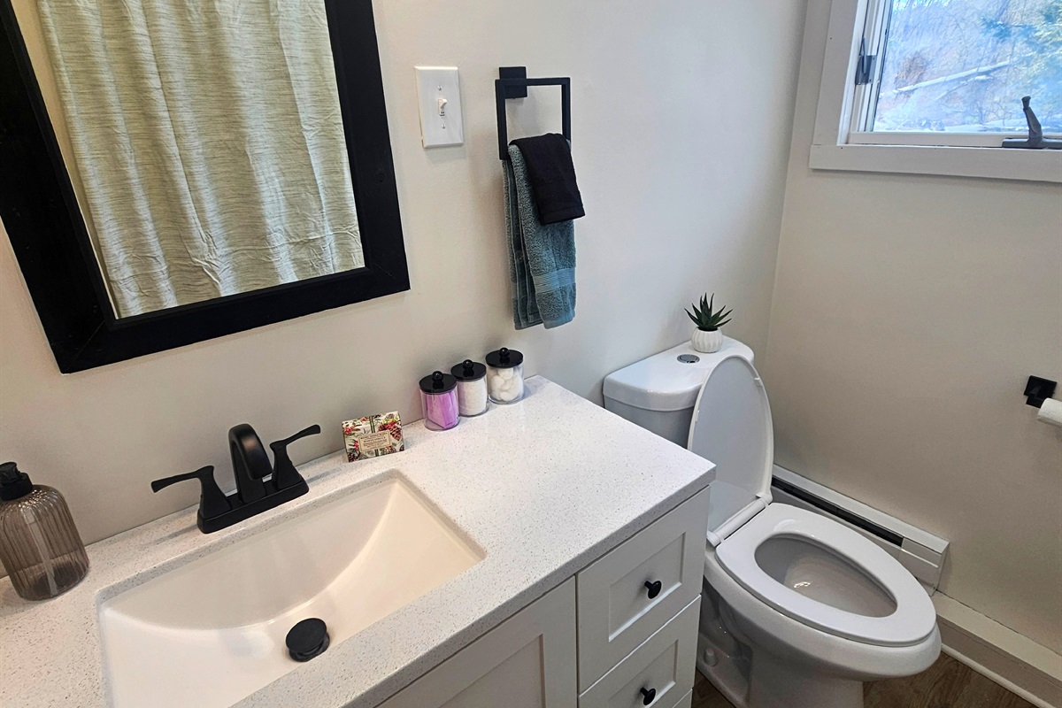 Downstairs Full Bathroom