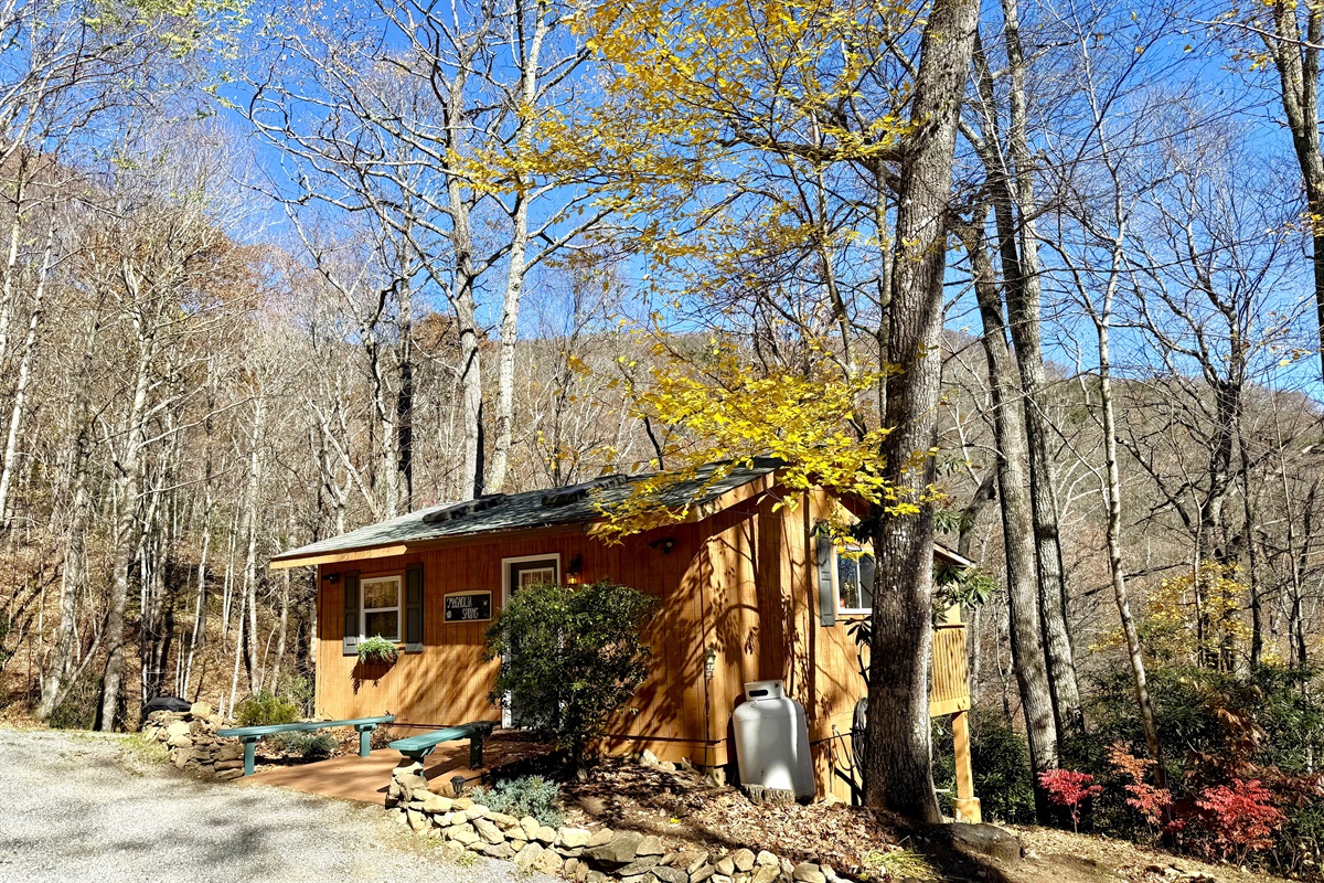 Side view of Fiddle Creek Cabin