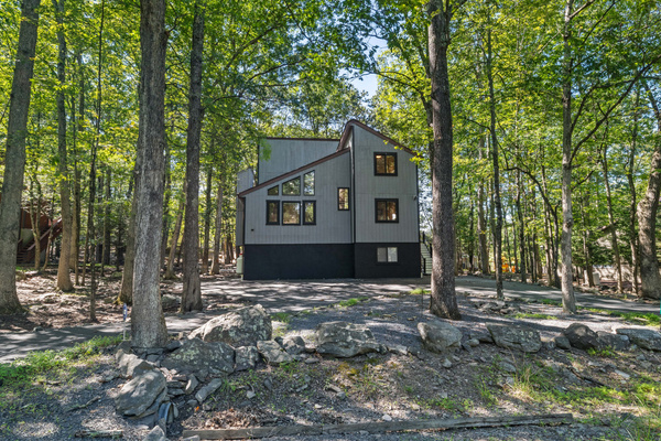 Crisp, contemporary gray and charcoal tones that make the structure stand out against the forest