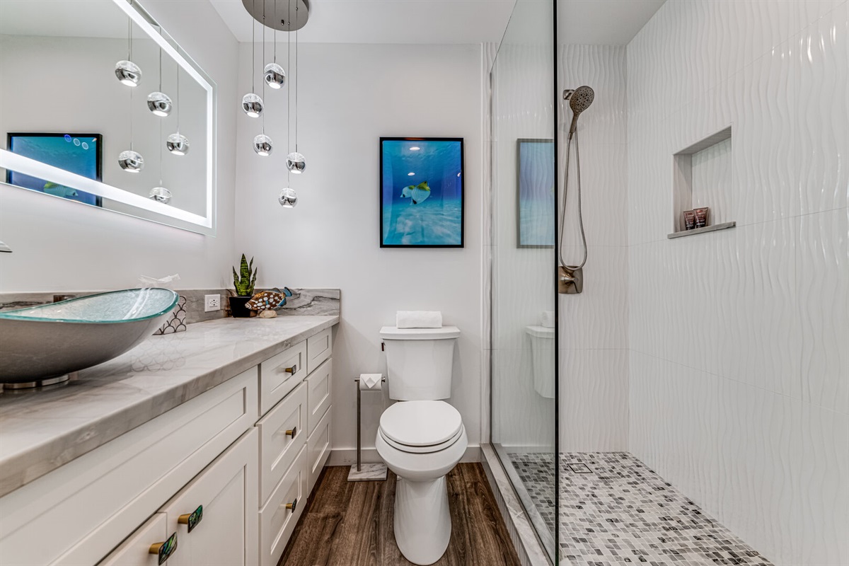 2nd bathroom with walk in shower
