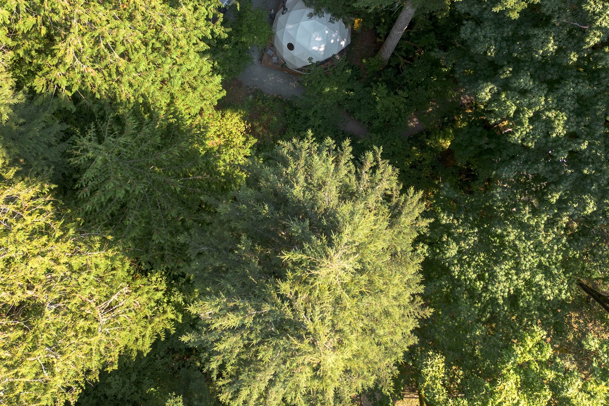 Aerial view of the peaceful surroundings