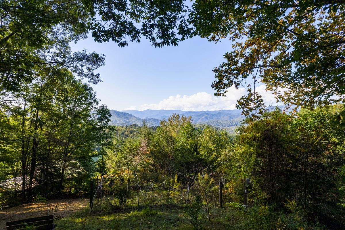 Views from the porch and fire pit area!