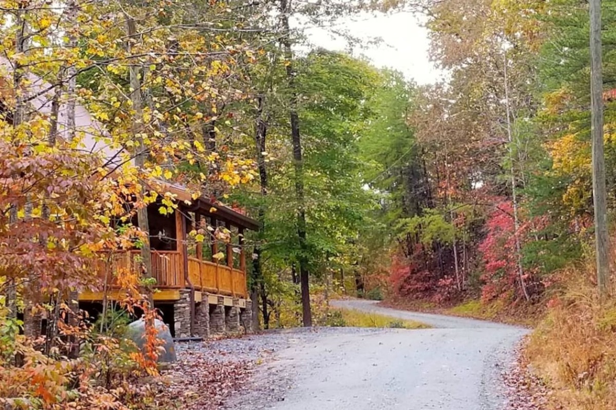 Cabin