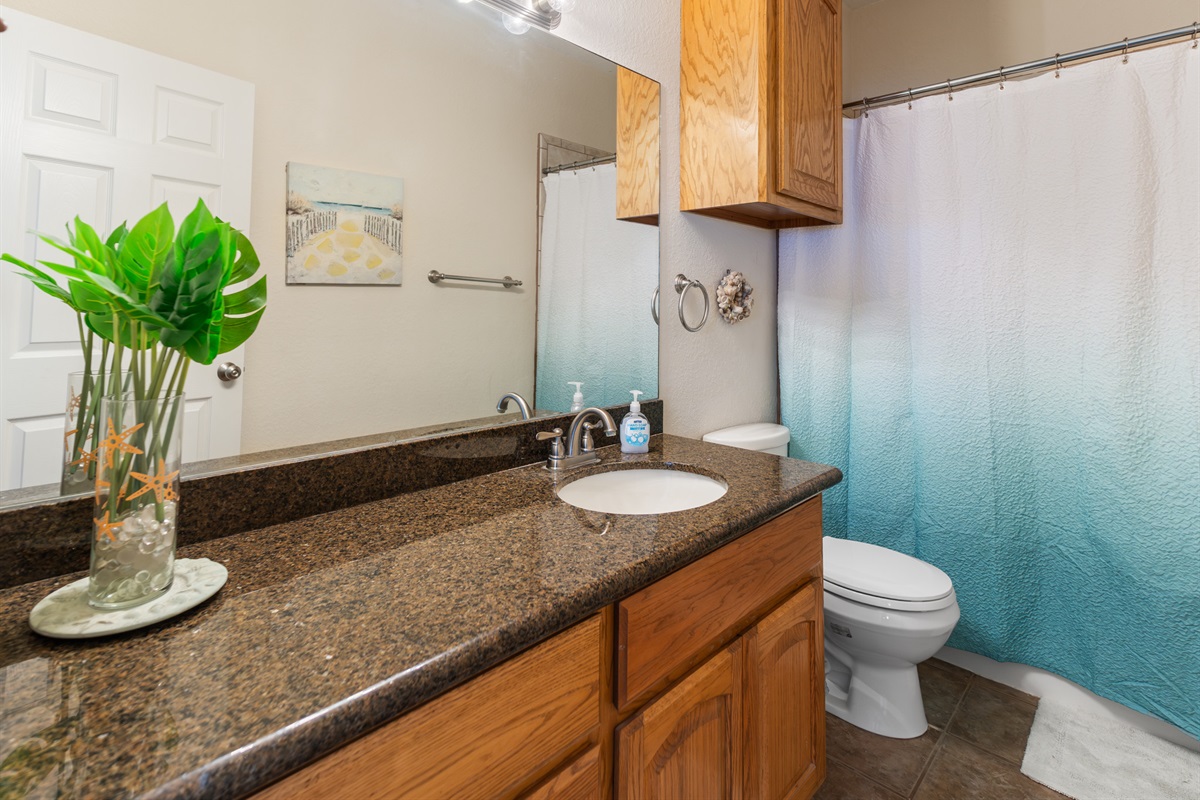 Hall Bathroom