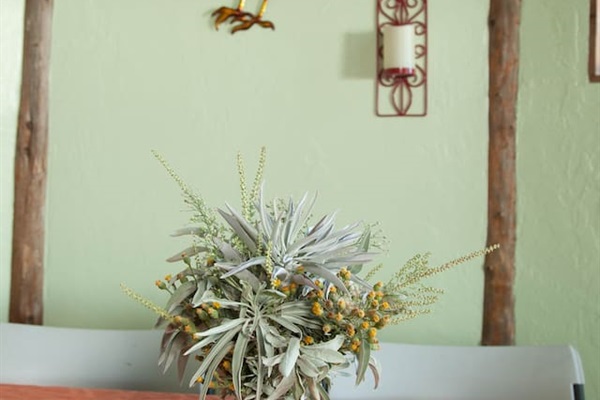 Fresh sage from the ranch