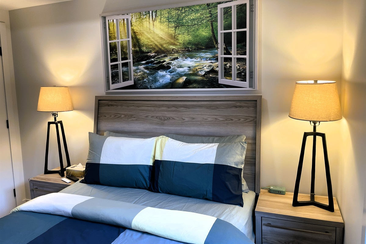 Separate main bedroom, with a queen bed, lamps, plenty of storage, including two closets, and a wardrobe. Large 55" Samsung Picture Frame TV with premium Telus TV cable, including on demand programming.  