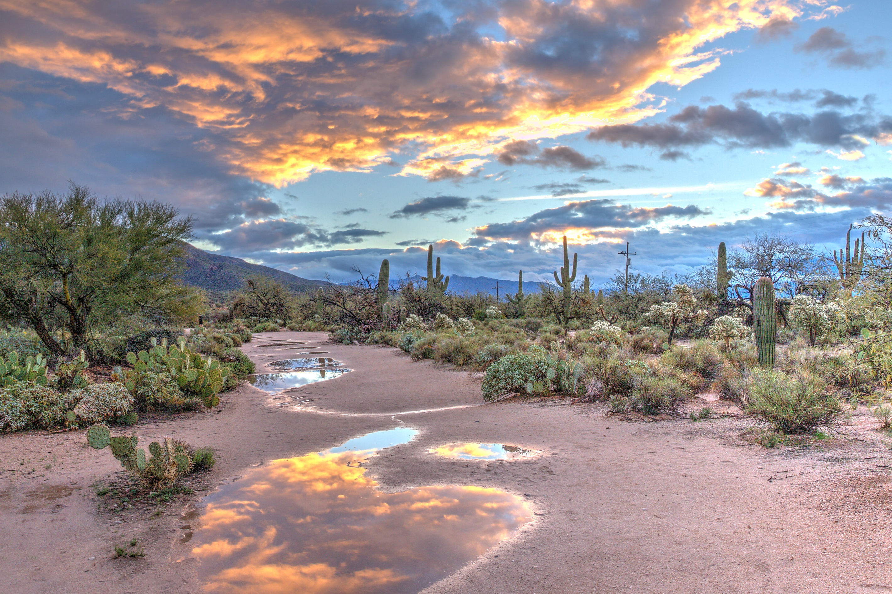 Immerse yourself in the rugged beauty of the Arizona desert