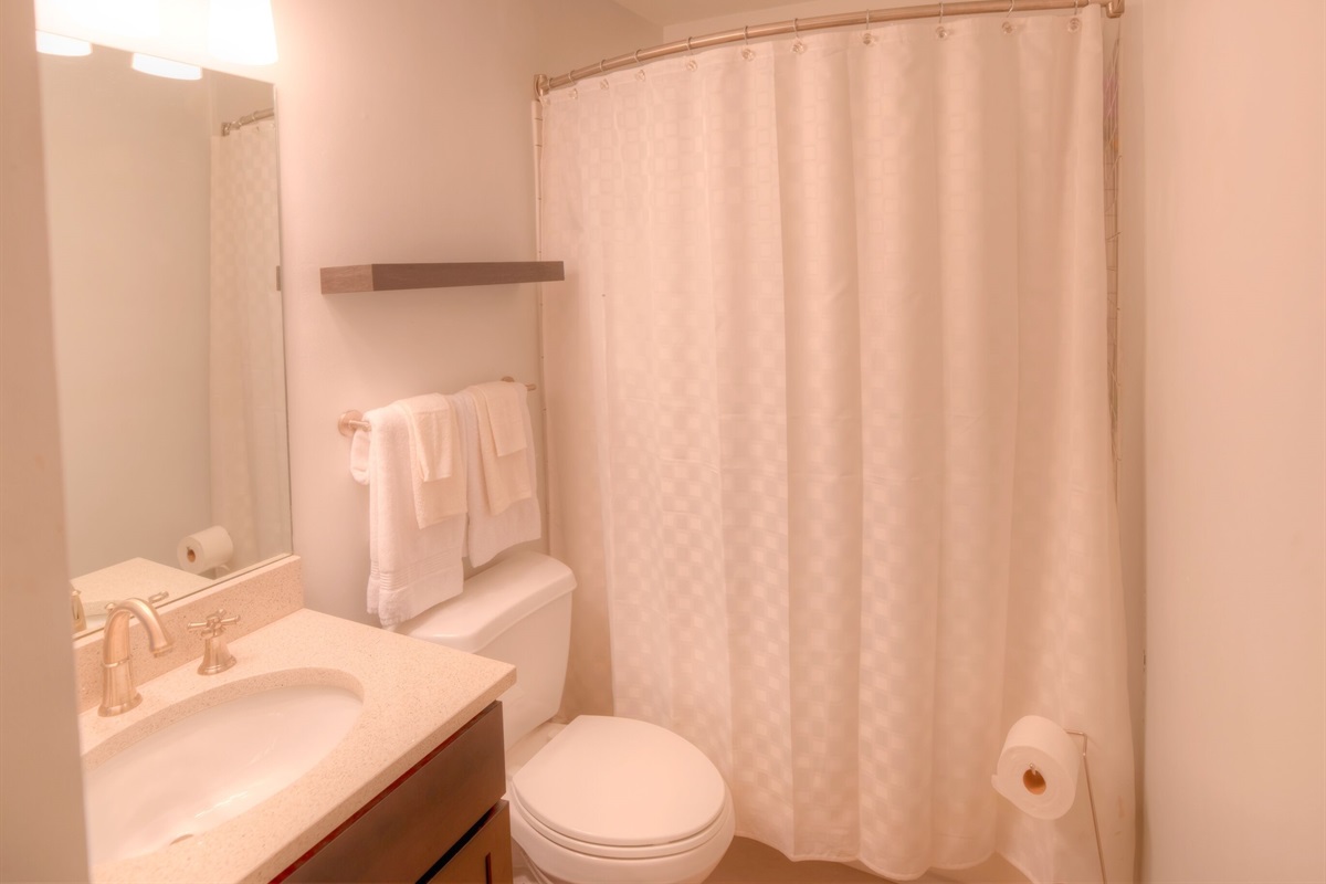 Combo bath-shower; we have soaps, hair dryer, towels, tp!