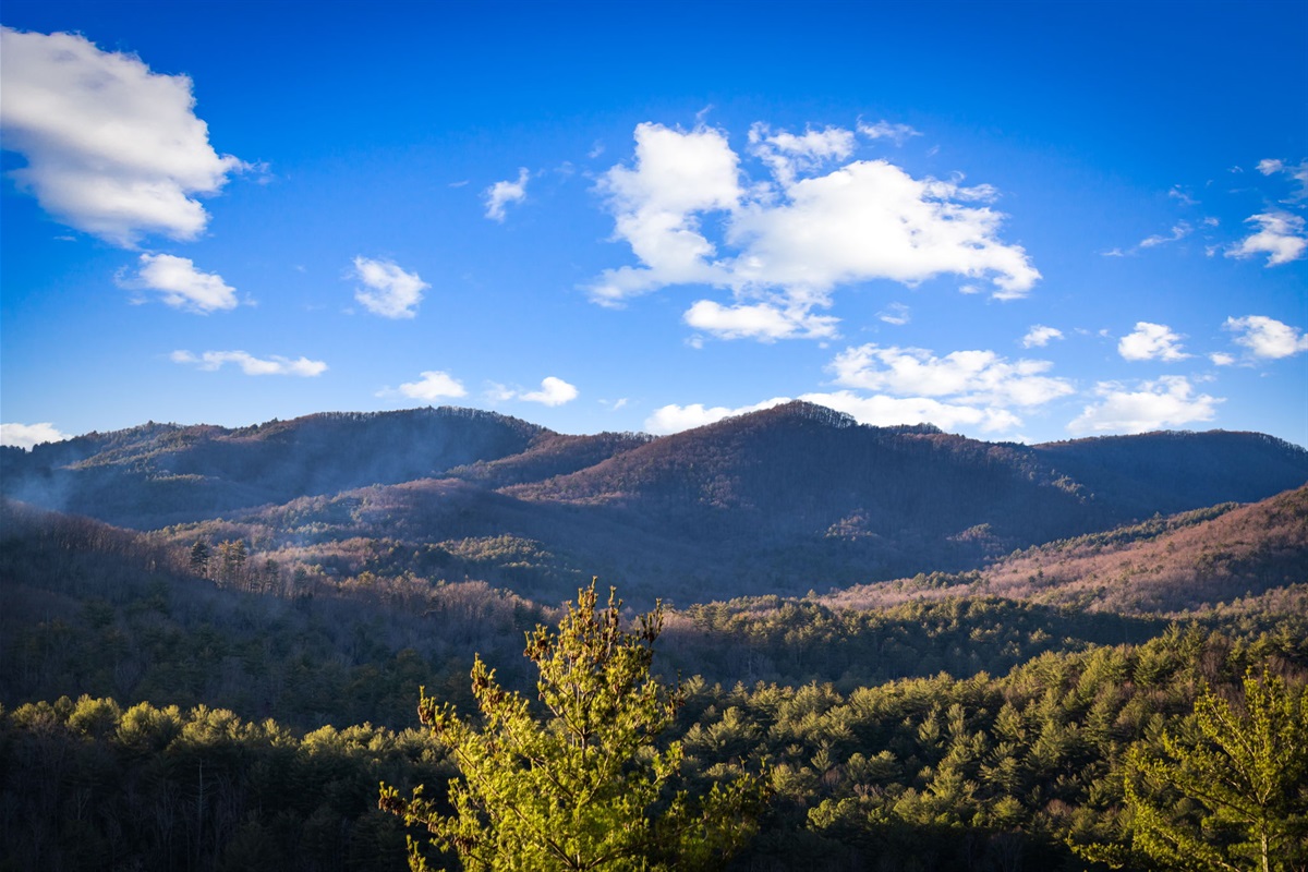 The view that changes everything. Endless Blue Ridge views, endless calm!
