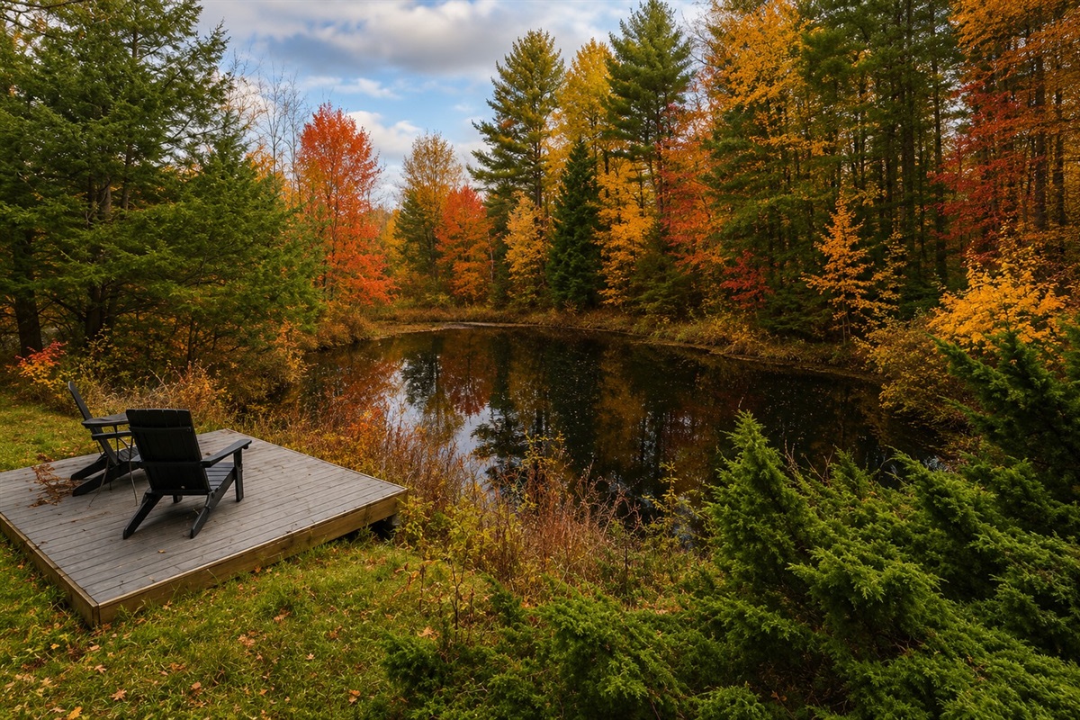 Pond in the back of the property with a deck overlooking it.