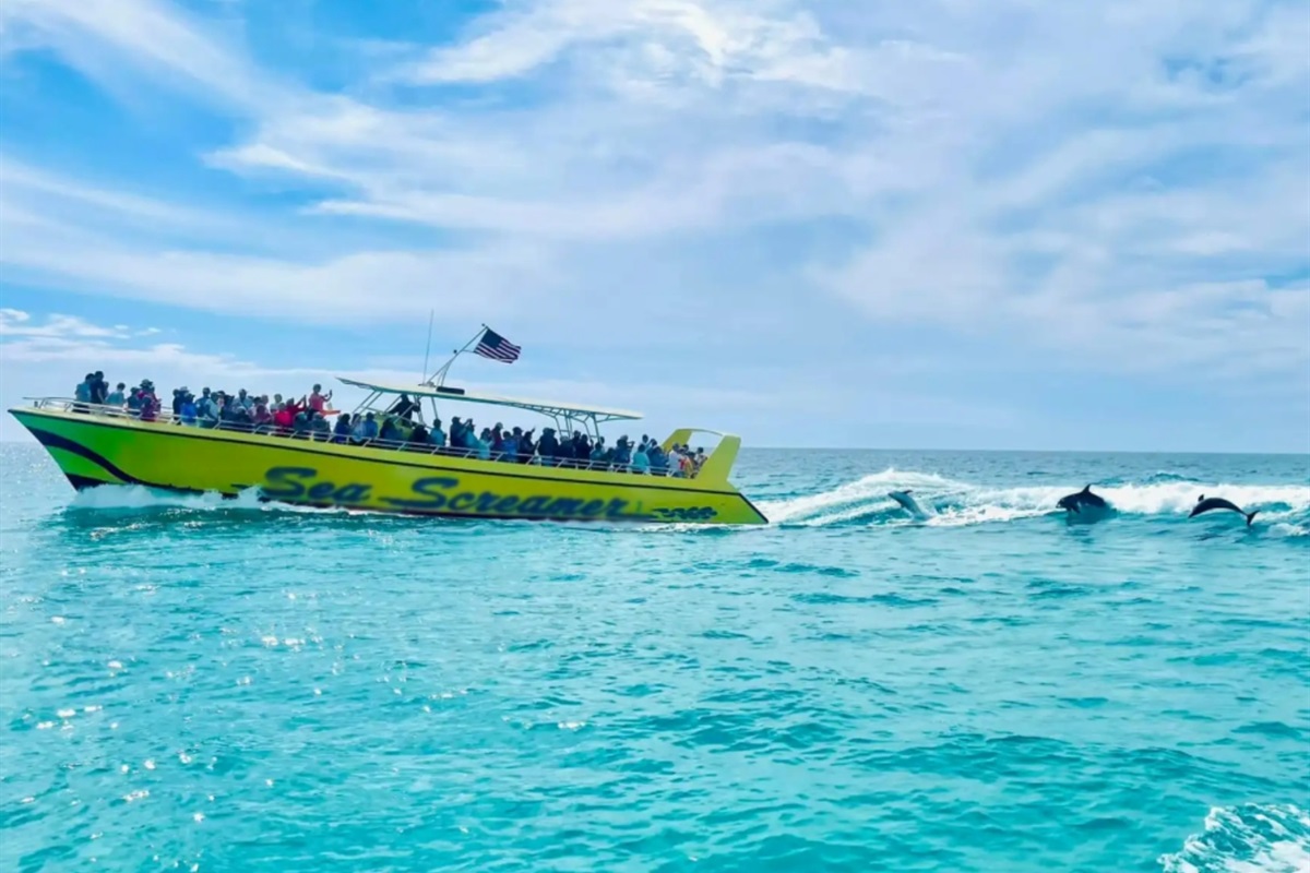 Sea Screamer dolphin tour
