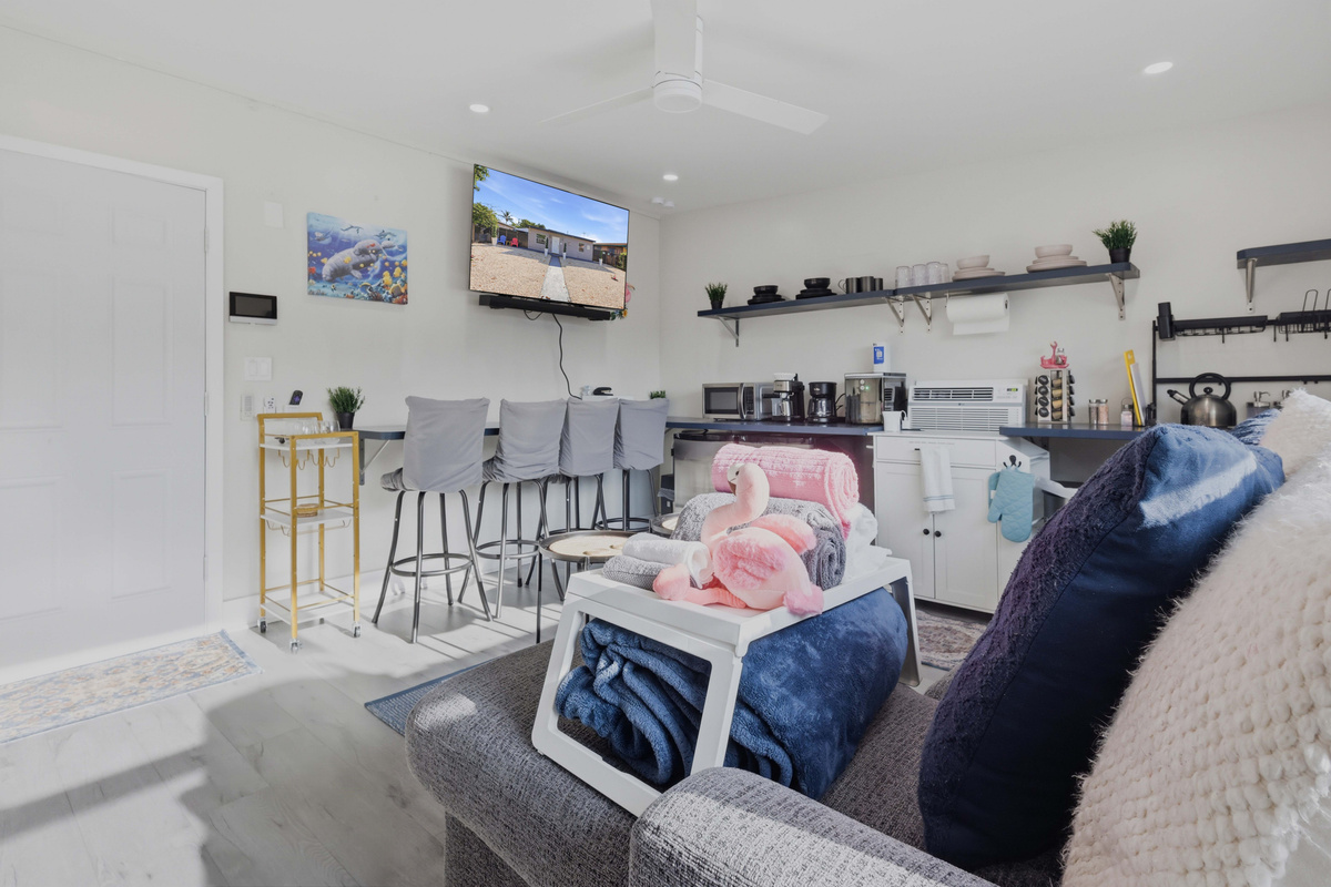 Back Living Room, 55-inch TV Surround Sound & Business Printing Area