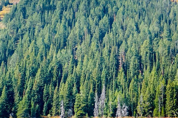Grand Teton National Park 