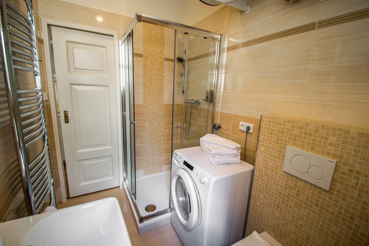 2nd bathroom with a shower unit, sink and WC, there is also a washing machine with detergent powder
