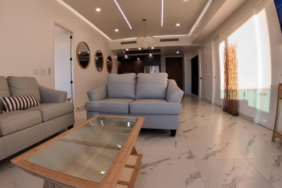 Living Room with Pull out Couch