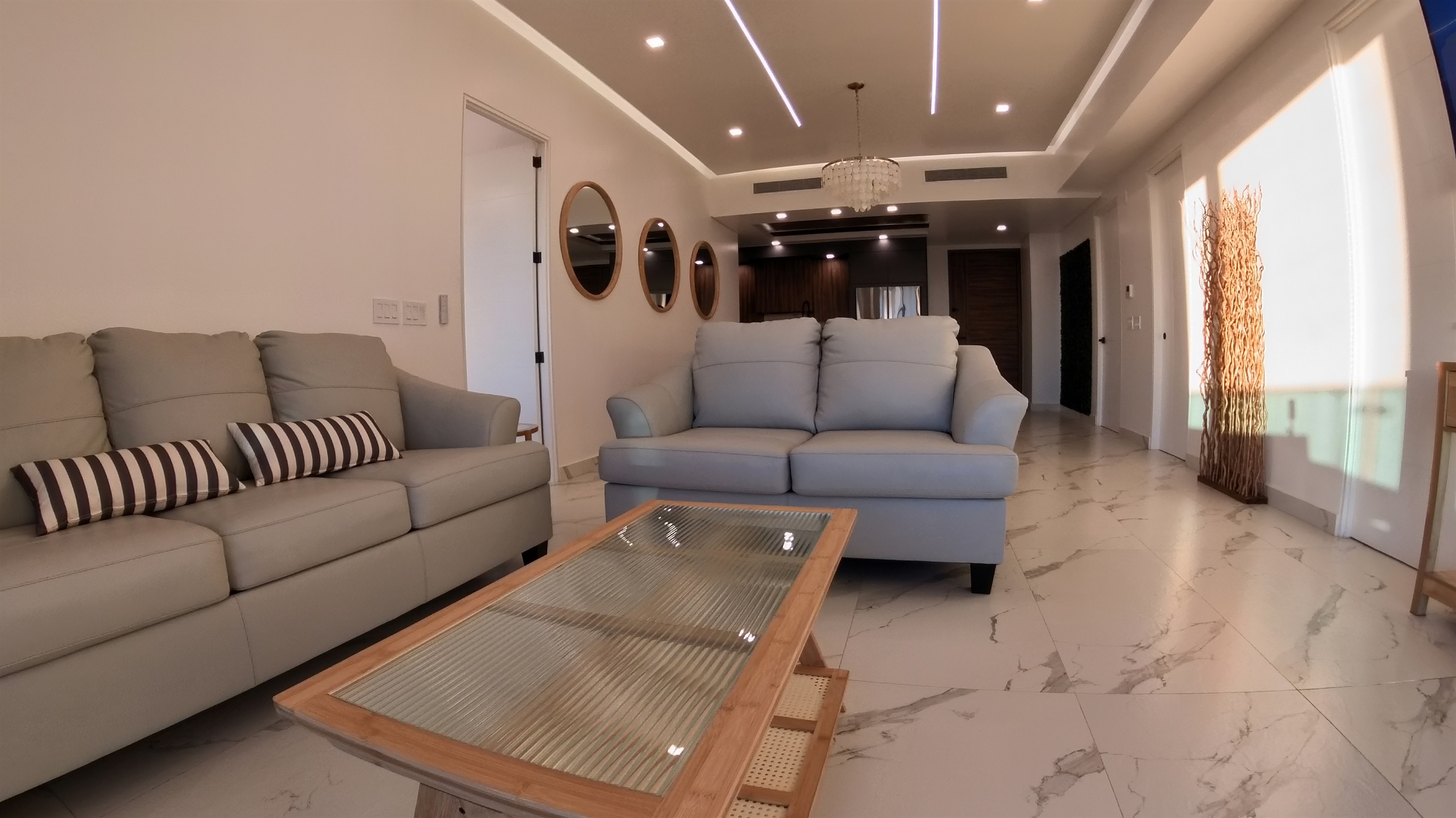 Living Room with Pull out Couch