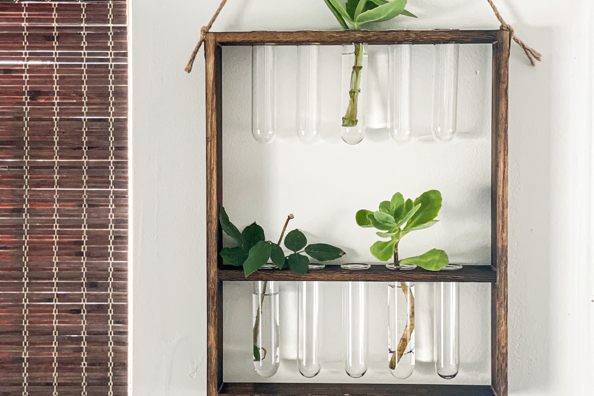 tons of plants in the cottage