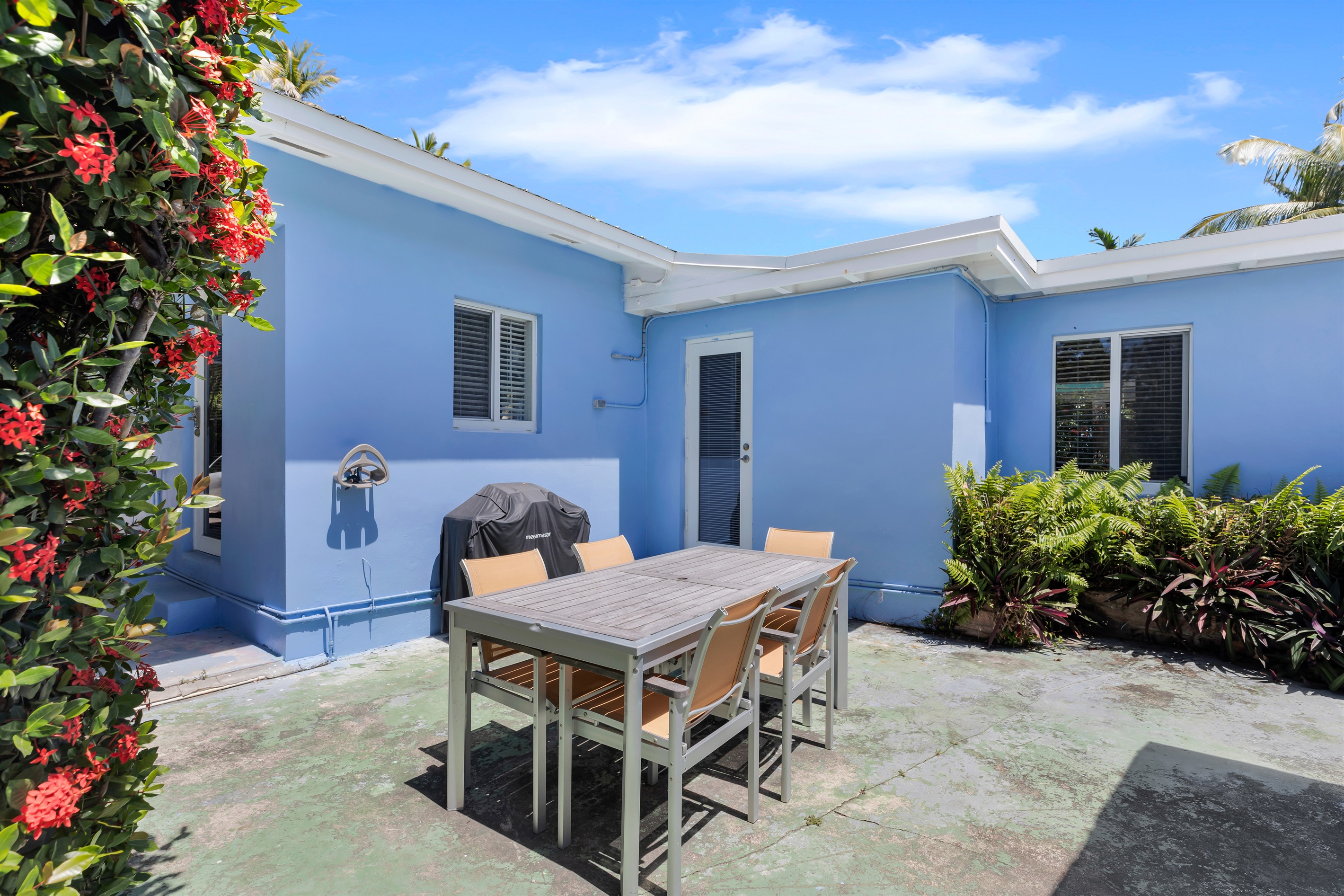 Outdoor dining and BBQ grill