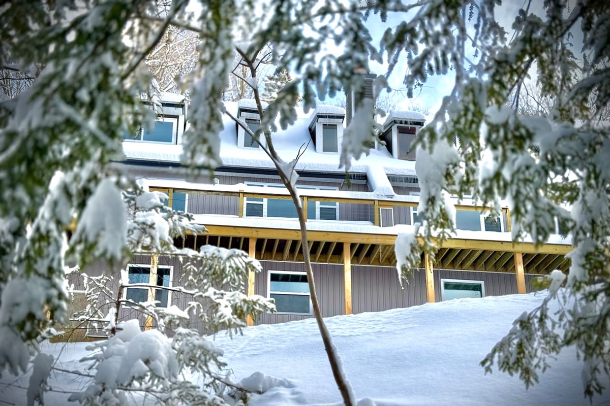 Winter Wonderland