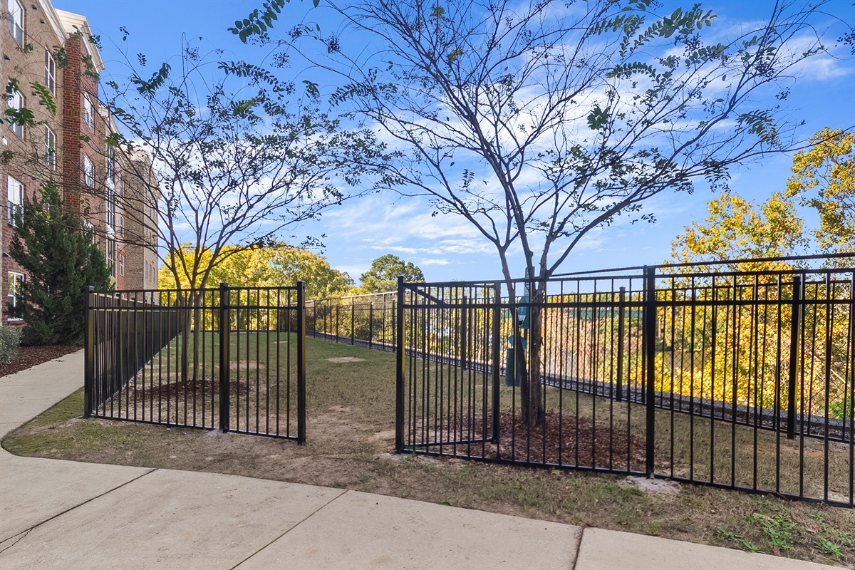 Dog Park Area