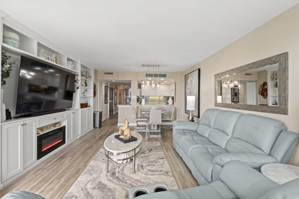 Living Area w. TV
