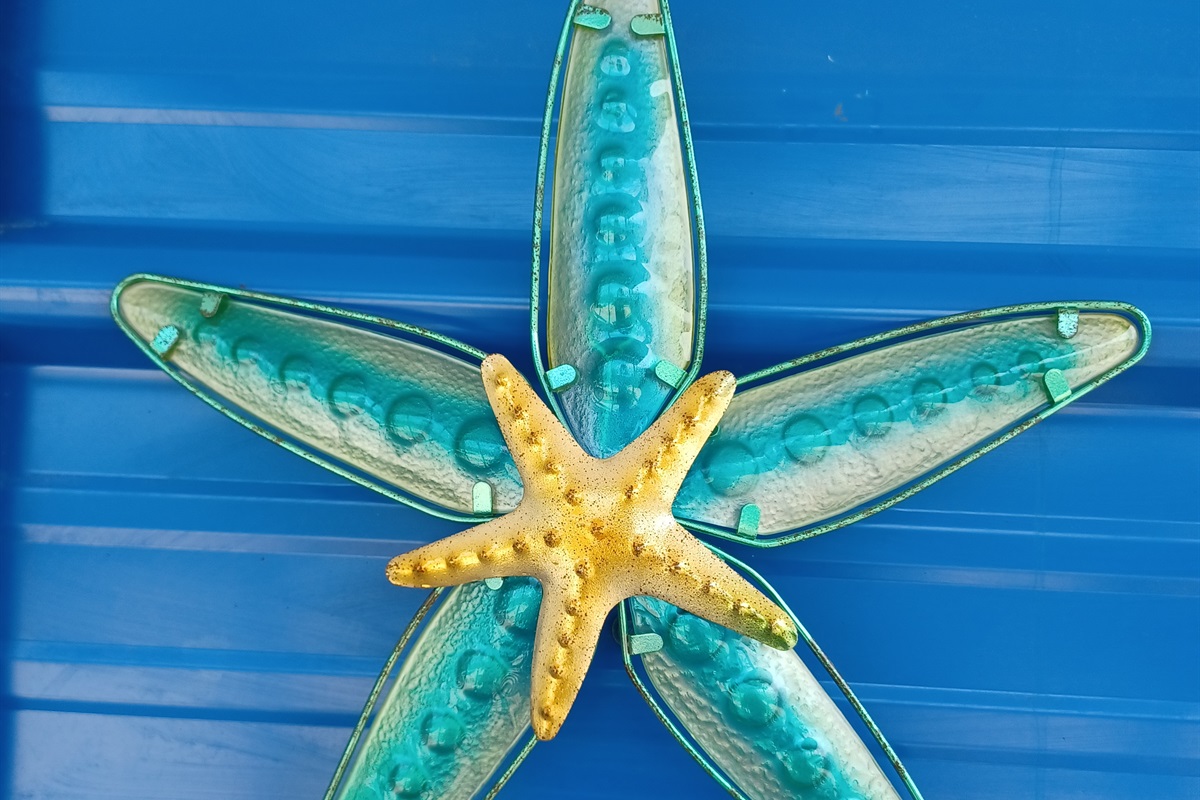 Starfish Casita