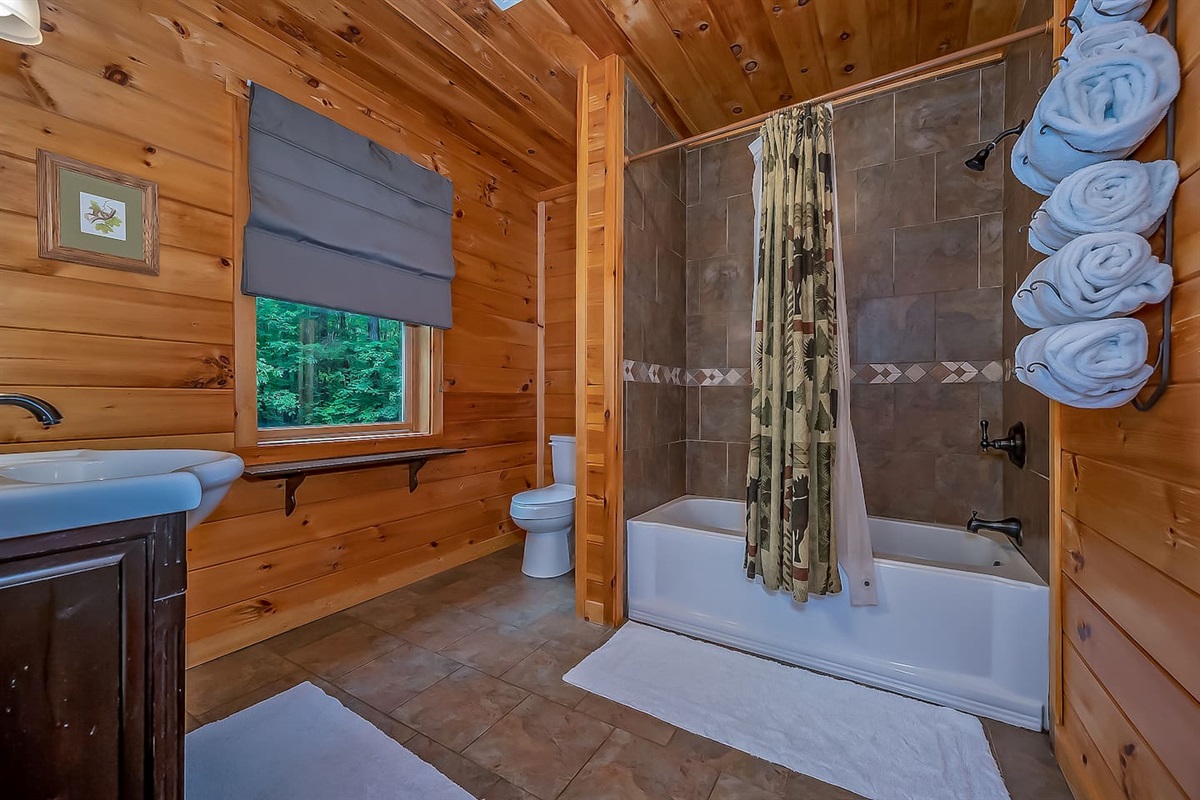 Lower level bathroom