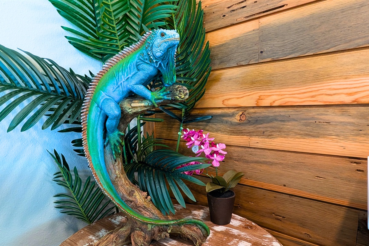 Fun and funky decor!