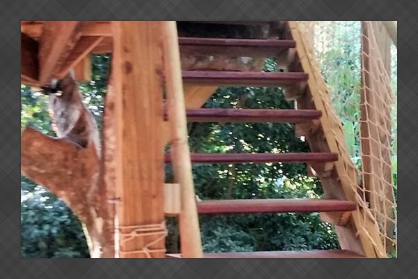 Stairs to the upper deck