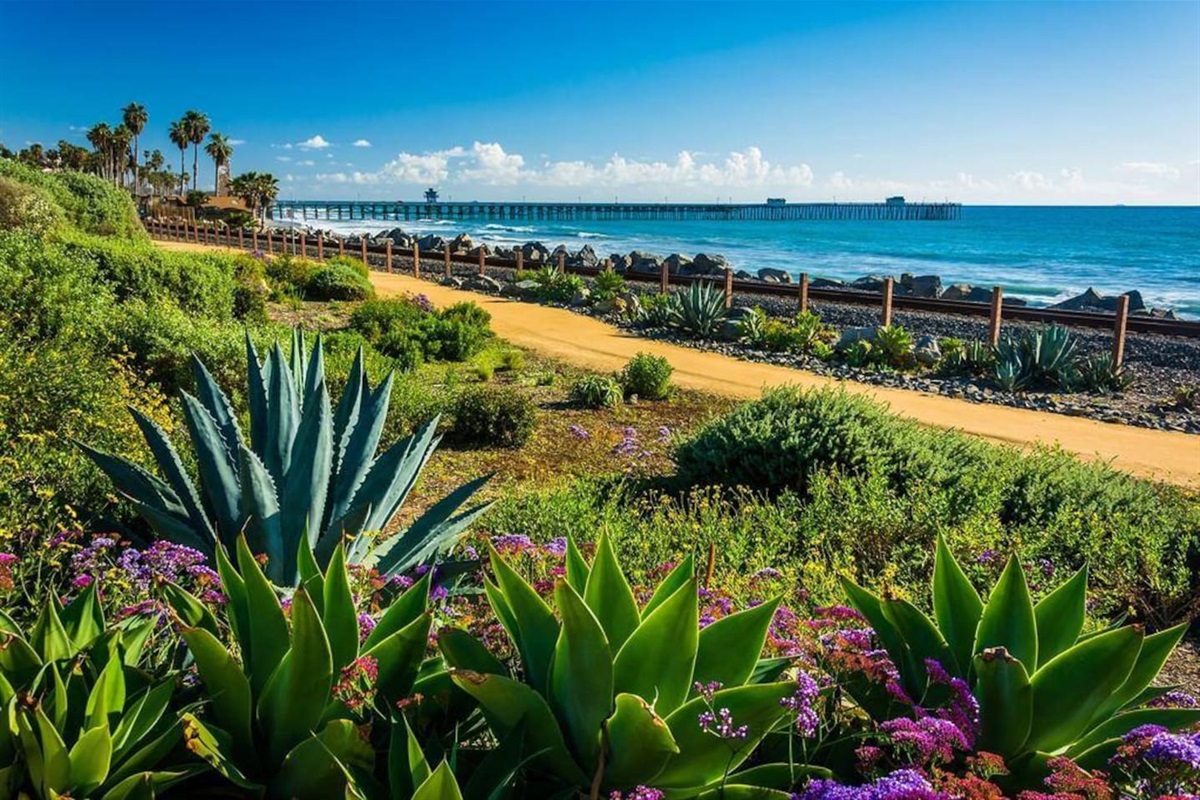 Start each morning by grabbing a coffee at Bear Coast coffee (at the pier) and walking the beach trail.  No better place to enjoy nature's simple pleasures than San Clemente.  What are you waiting for?   Book now :)