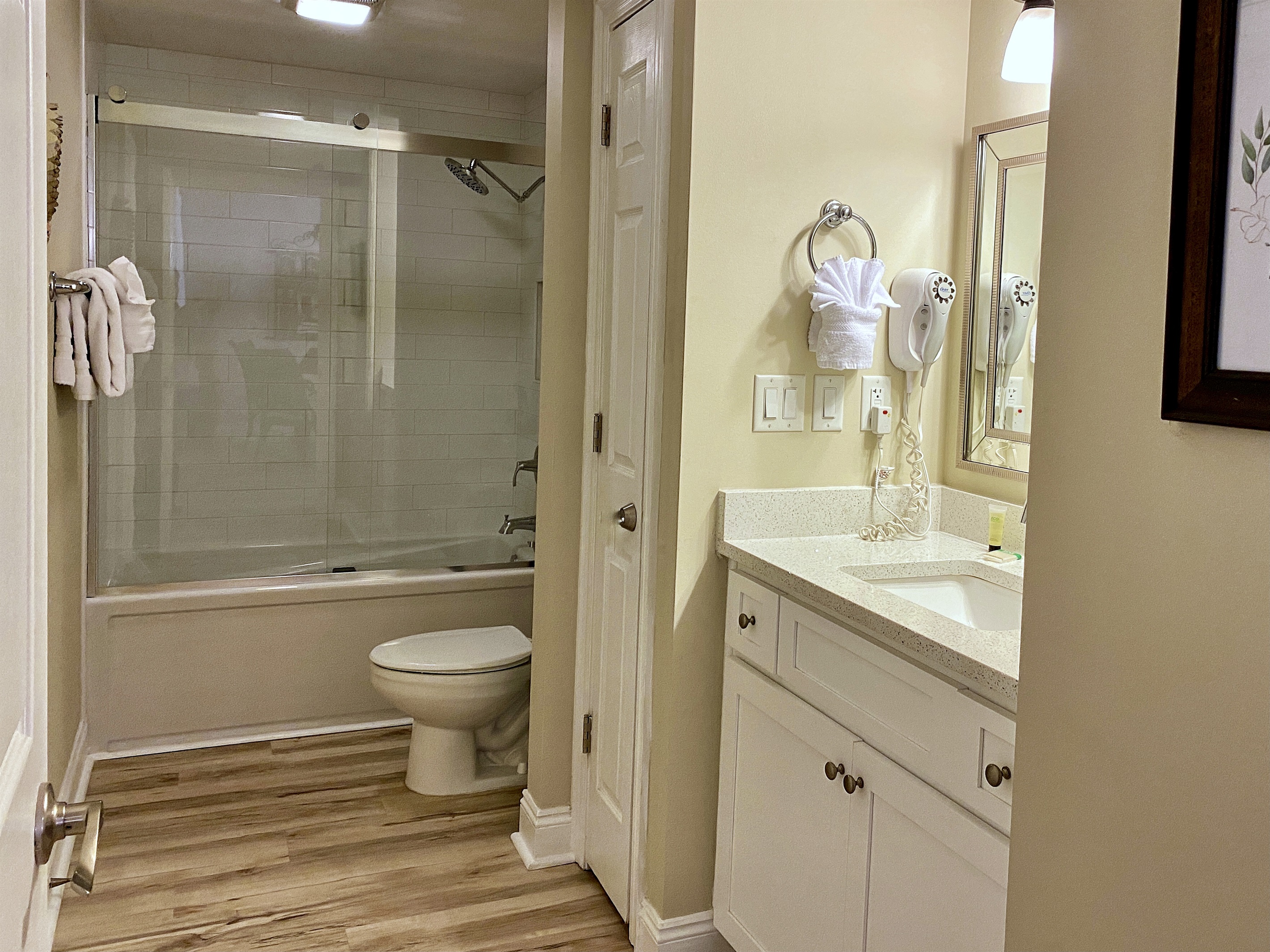 New tub, tile surround and glass doors 2021