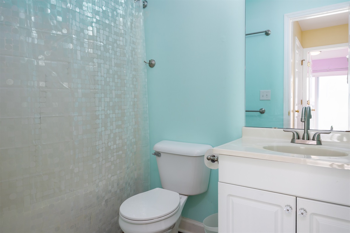 Downstairs master bathroom