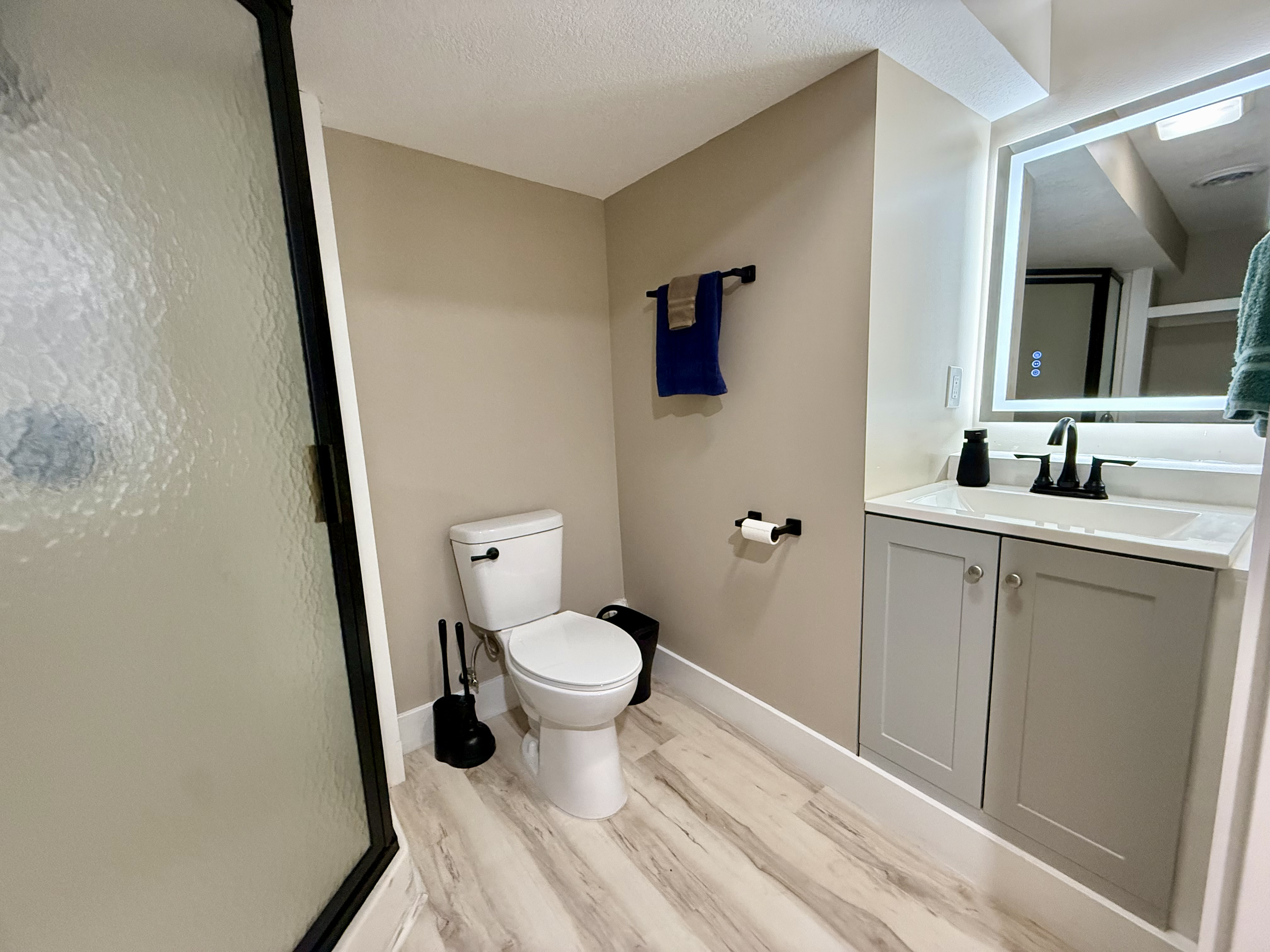 Downstairs bathroom with touchscreen lighted mirror