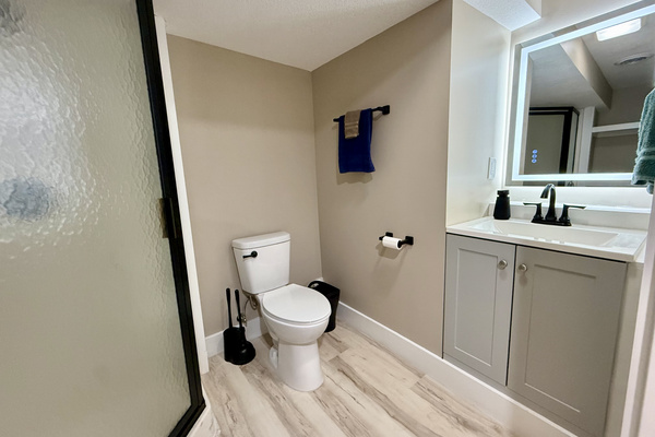 Downstairs bathroom with touchscreen lighted mirror