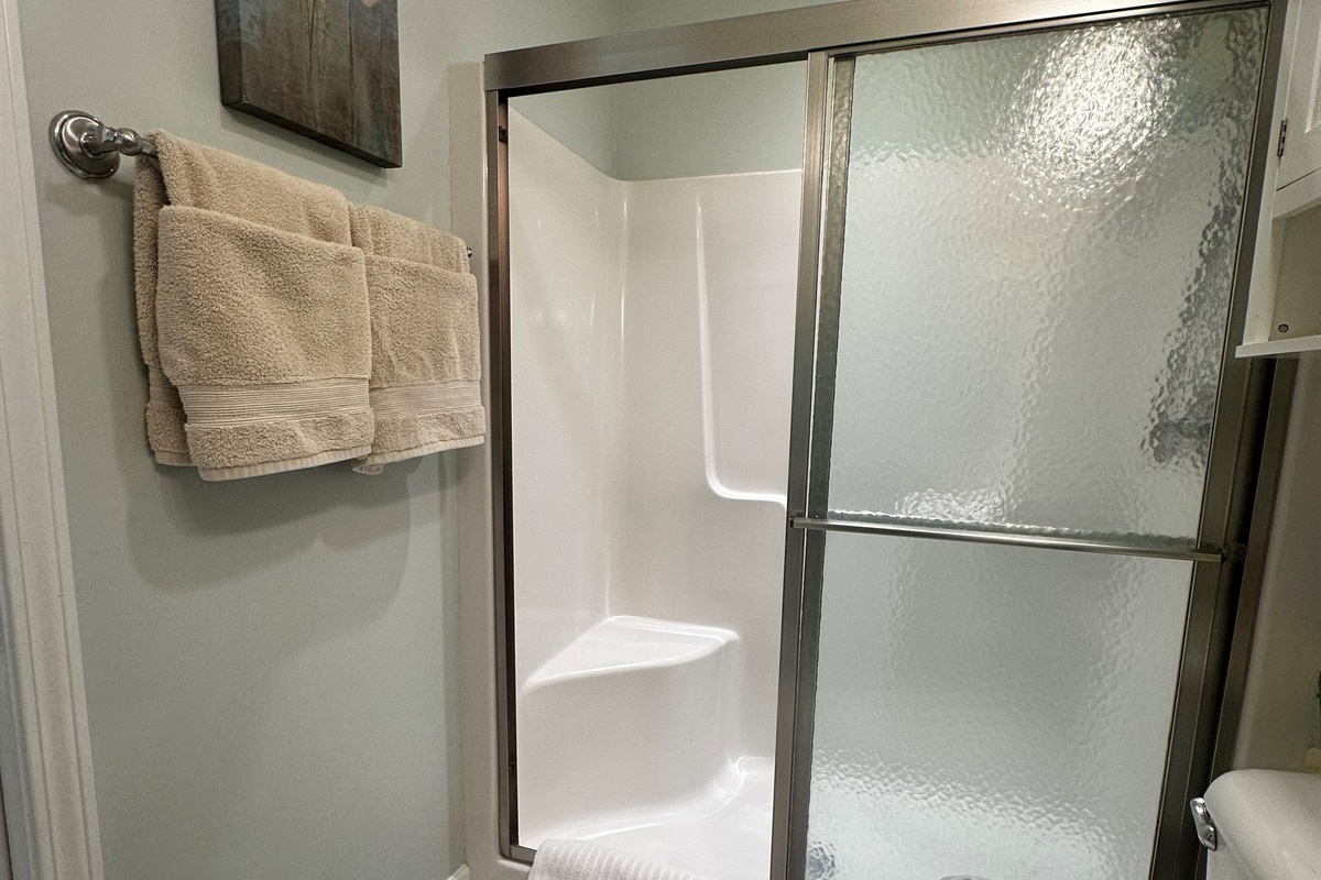 Bathroom shower with seat