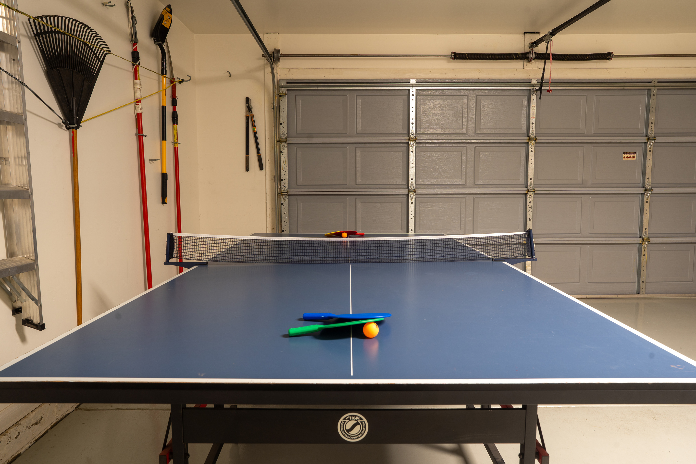 Full Size Ping Pong