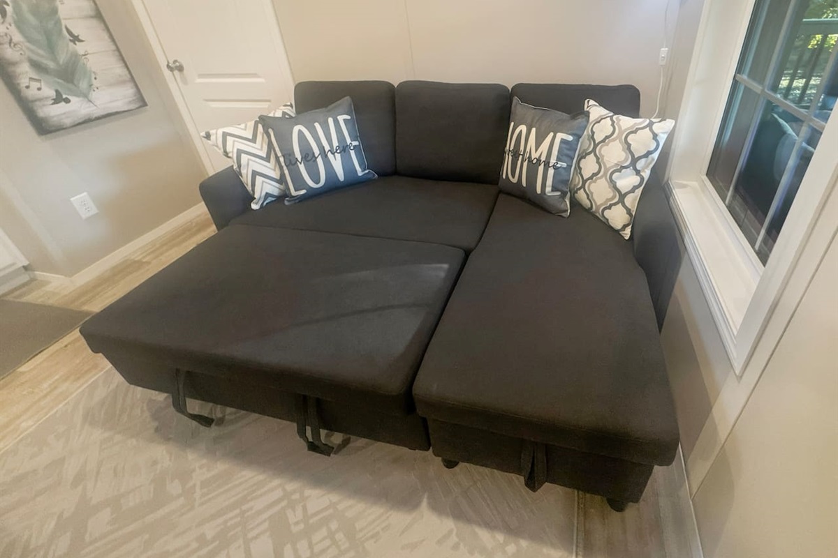Sleeper sofa 