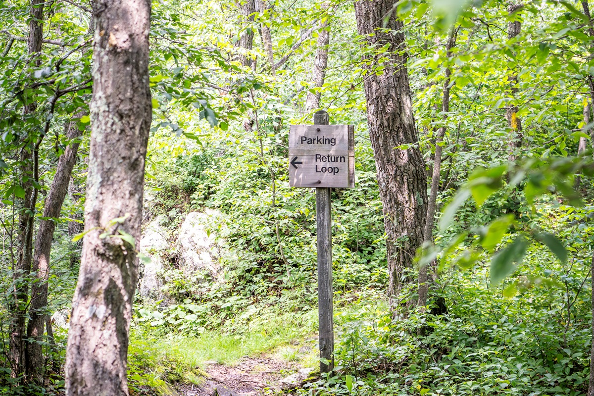 Surrounded by lush forest, the area is filled with well-marked trails—ideal for morning walks, scenic hikes, and immersive nature therapy