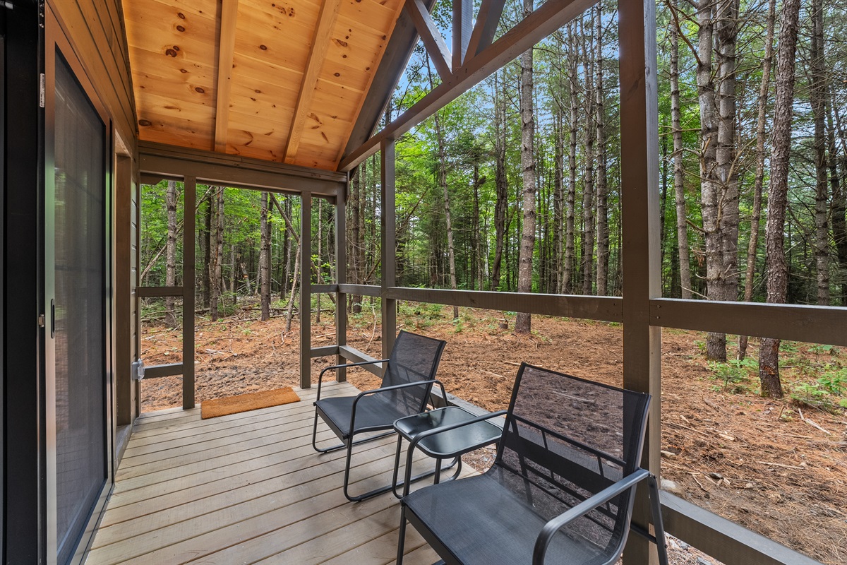 Screened in Porch overlooking Pine forest