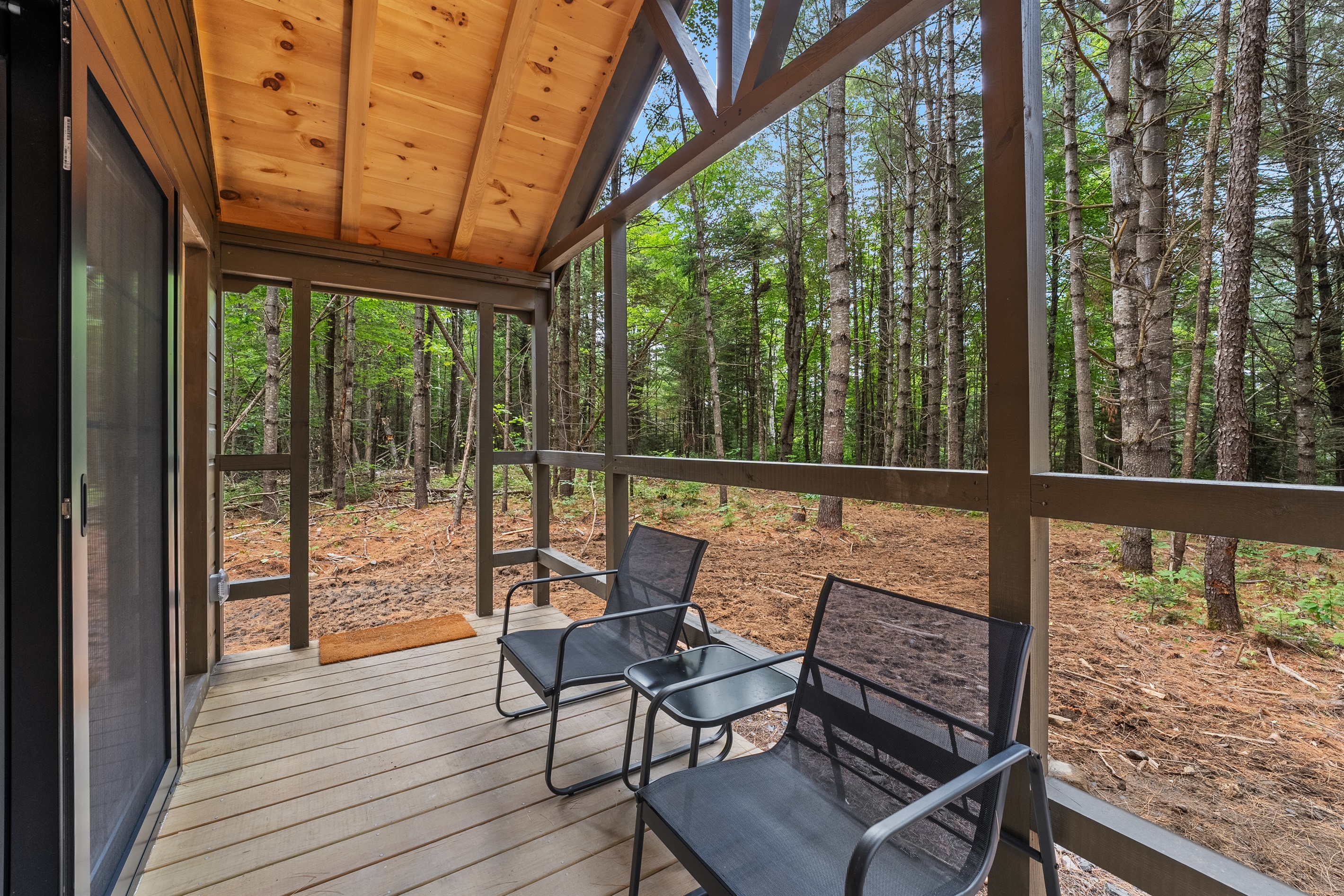 Screened in Porch overlooking Pine forest