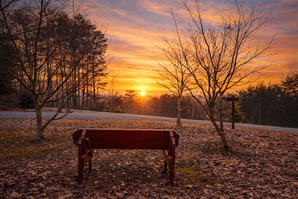 Our Sunrise Spot, a cute bench in the front yard where you can watch the sun rise over the mountains!