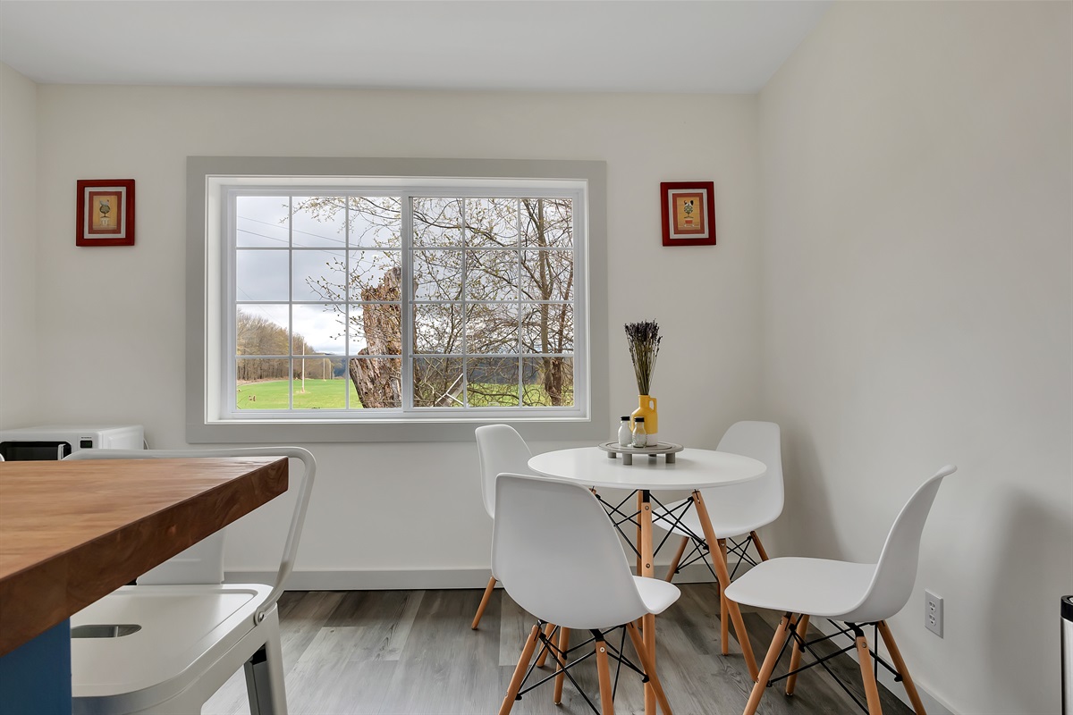 Kitchen window