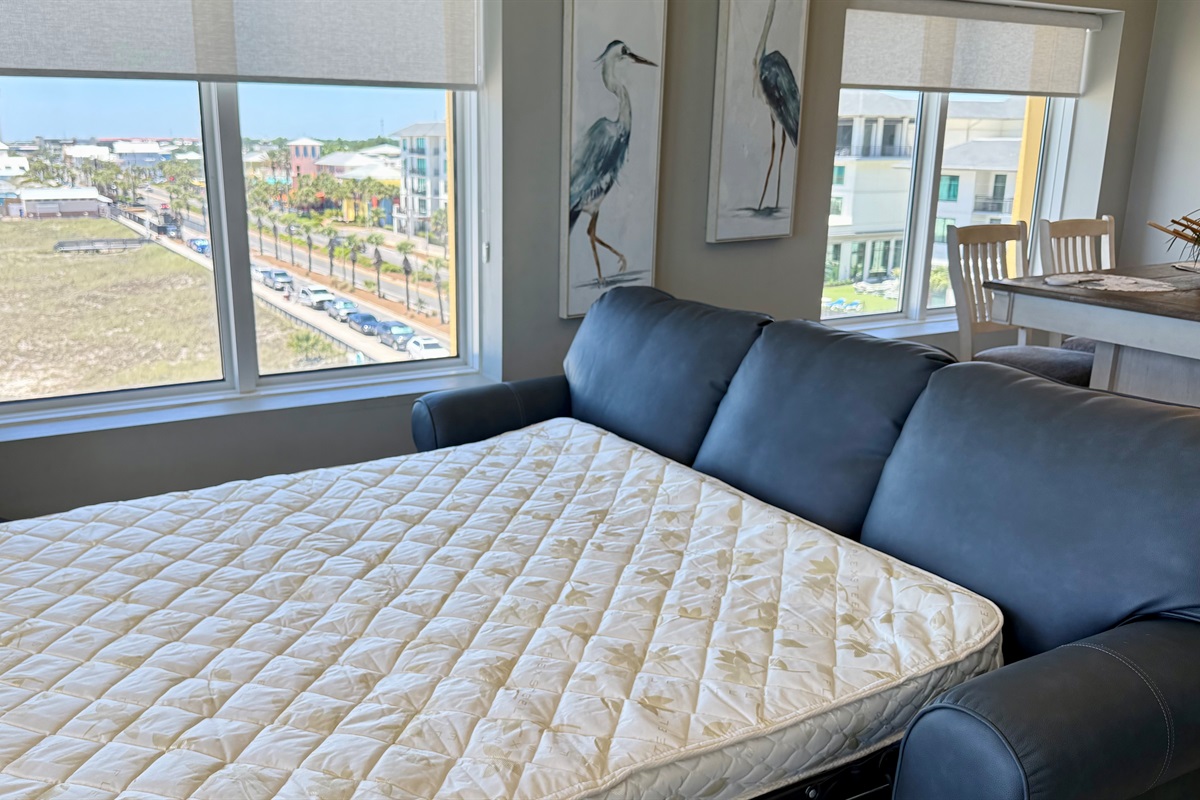 New Queen Size Sleeper Sofa