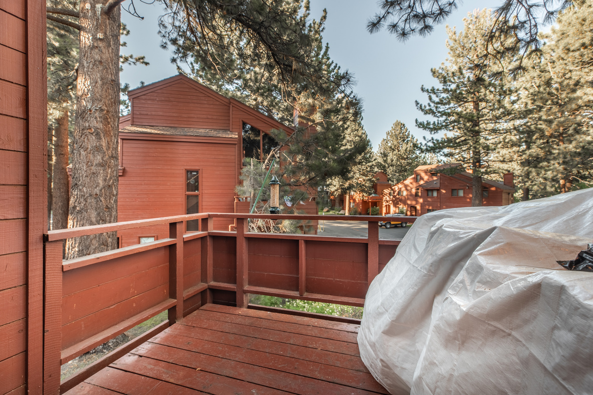 Private patio overlooking the surrounding trees