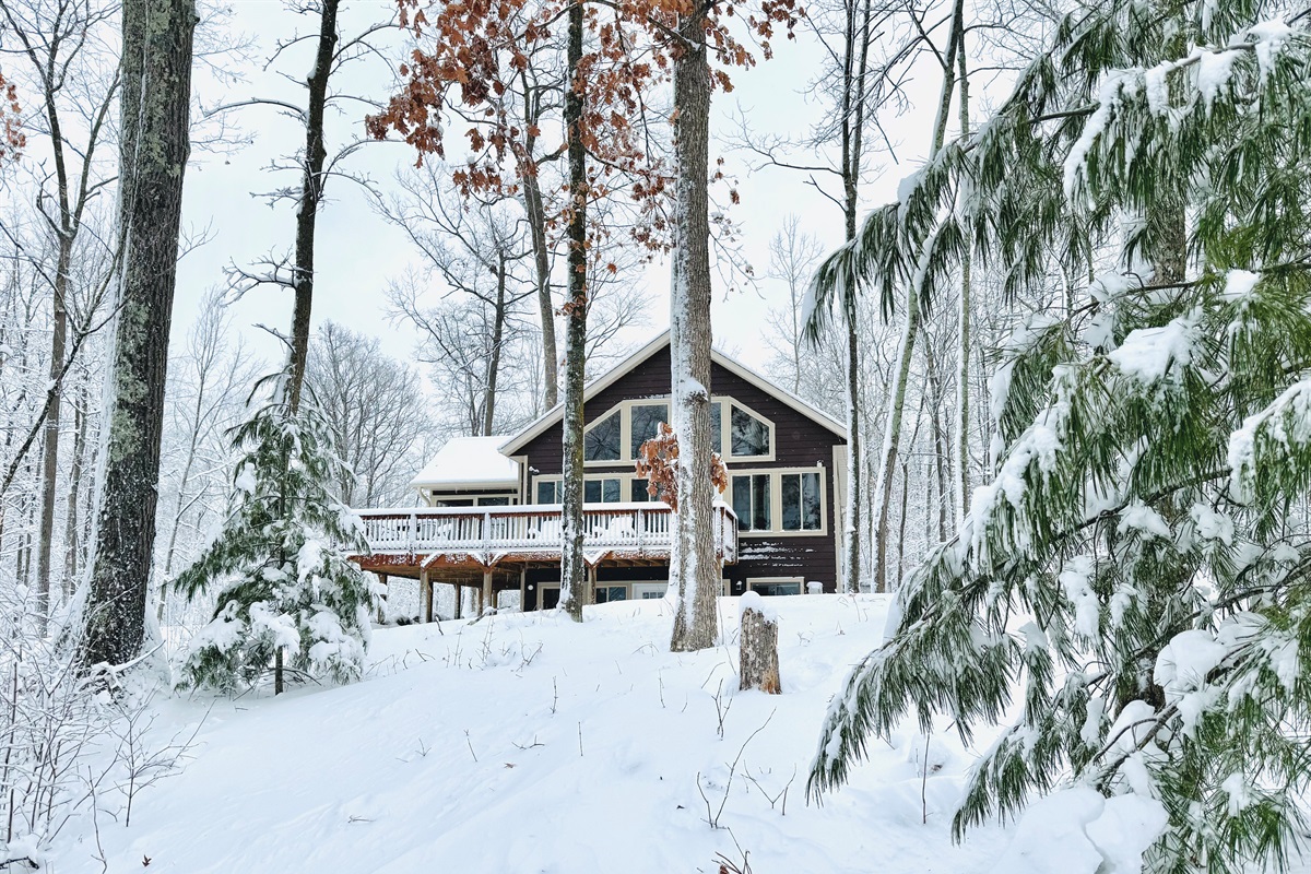 Welcome to Cattail Cottage!