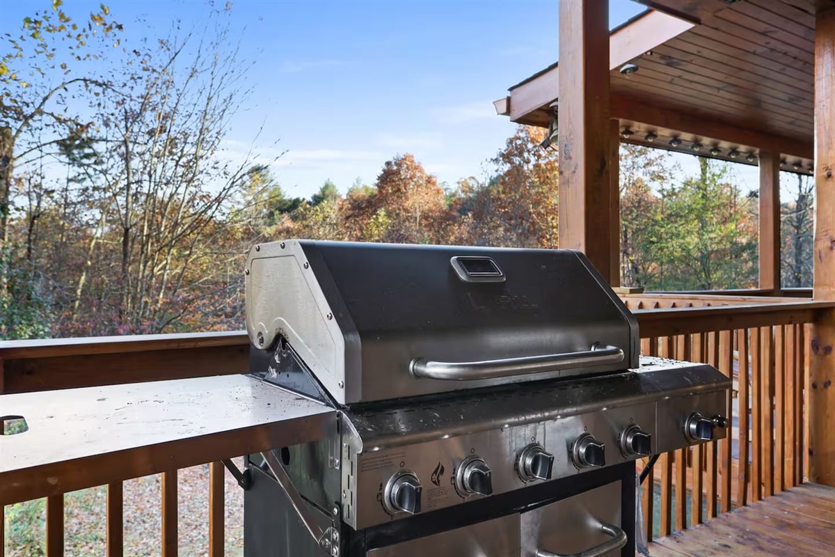 Outdoor grill on porch outside kitchen