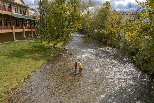 Enjoy fly fishing out back on the Little Pigeon River.