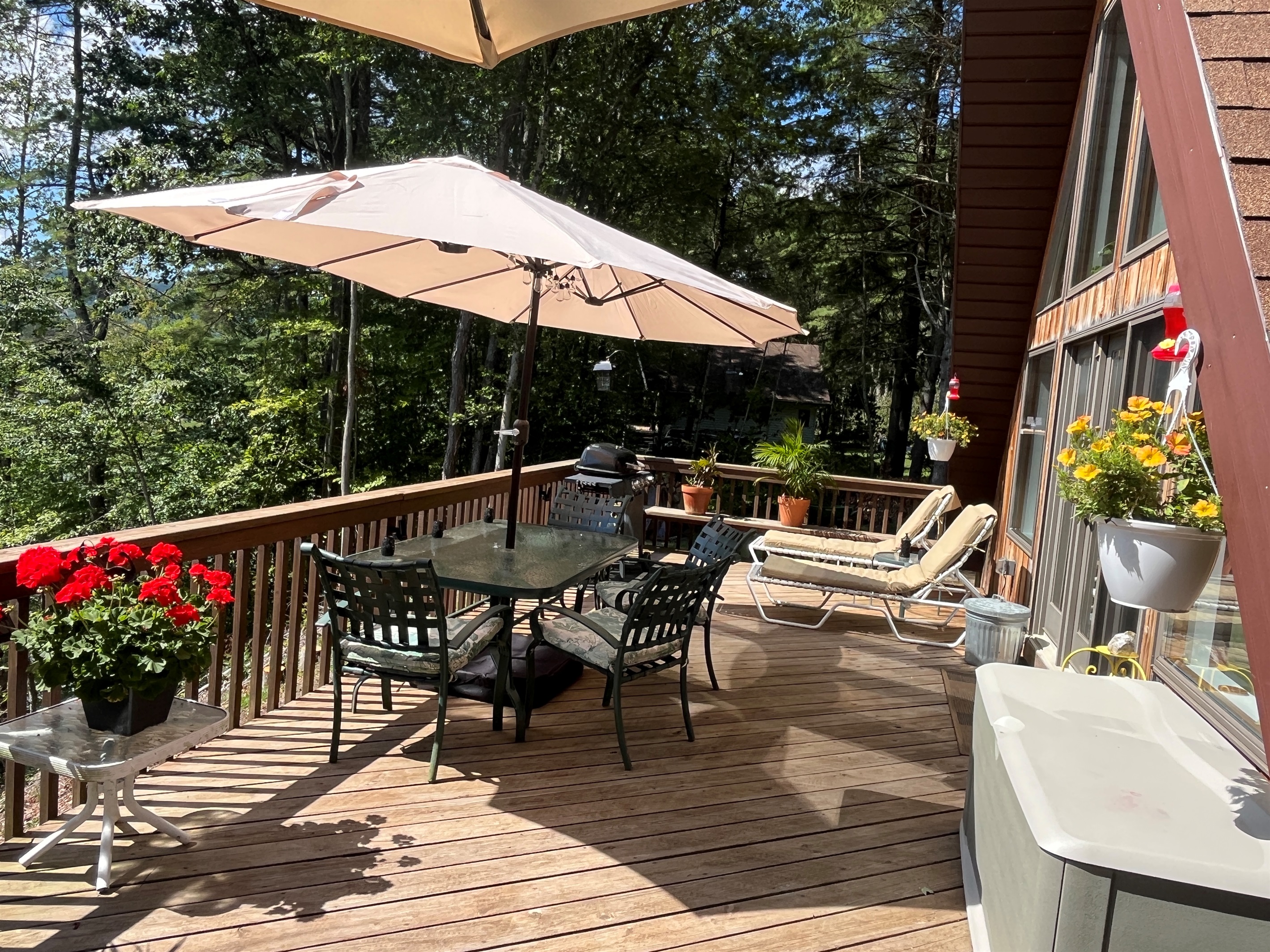 Rear deck with dining and lounging